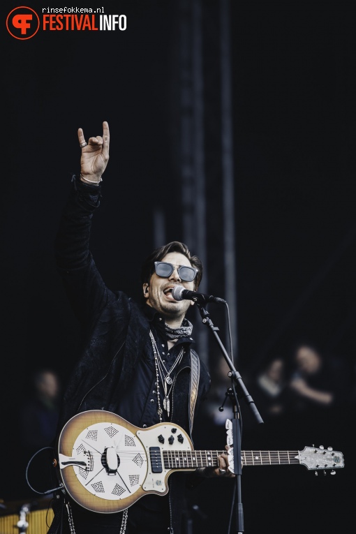Foto Waylon op Bevrijdingsfestival Overijssel