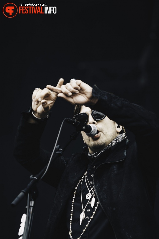 Waylon op Bevrijdingsfestival Overijssel foto