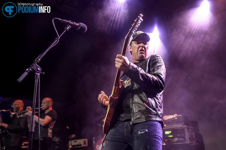 Joe Bonamassa op Sena Performers European Guitar Award - 21/05 - Gebouw T foto