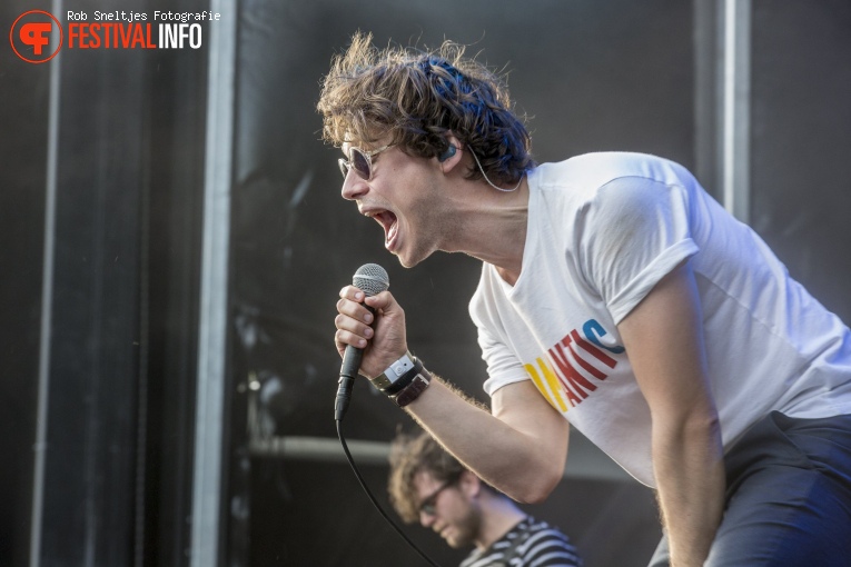 Handsome Poets op Central Park Festival 2017 foto