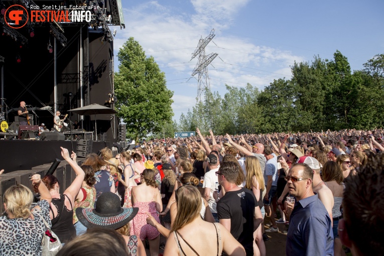 Central Park Festival 2017 foto