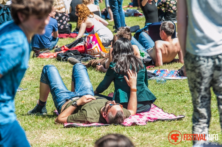 Wantijpop 2017 foto