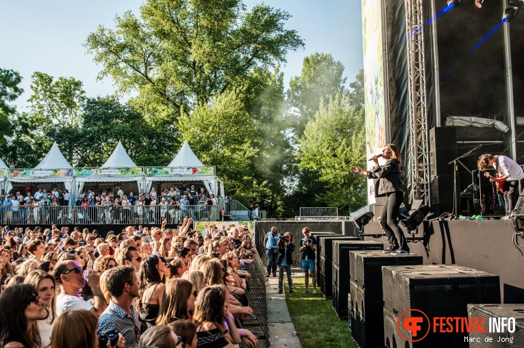 Wantijpop 2017 foto
