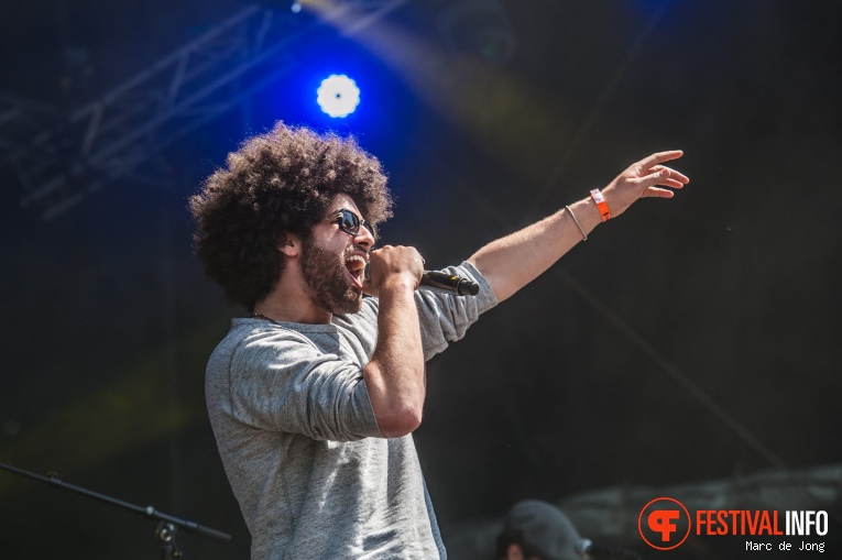 Wantijpop 2017 foto