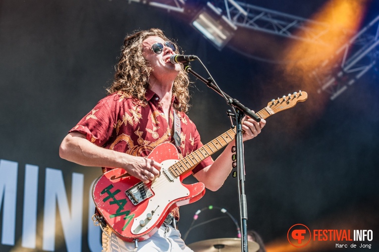 Wantijpop 2017 foto