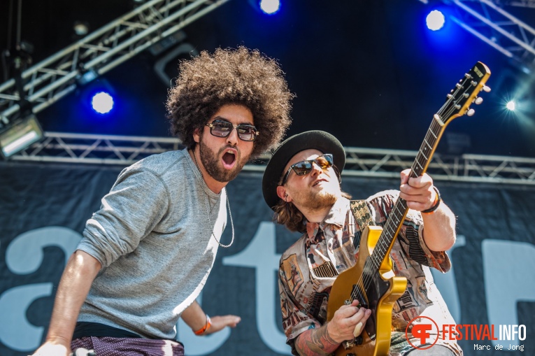 Wantijpop 2017 foto