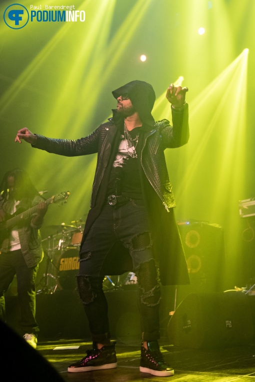 Shaggy op Shaggy - 18/06 - Melkweg foto