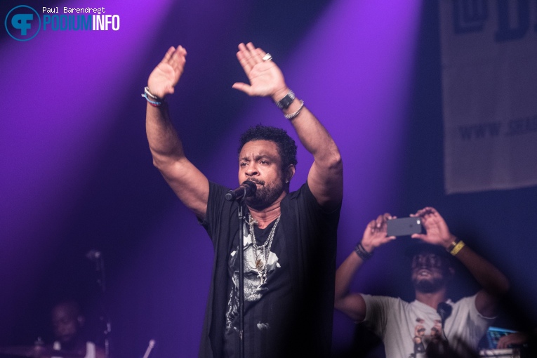 Shaggy op Shaggy - 18/06 - Melkweg foto