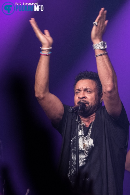 Shaggy op Shaggy - 18/06 - Melkweg foto