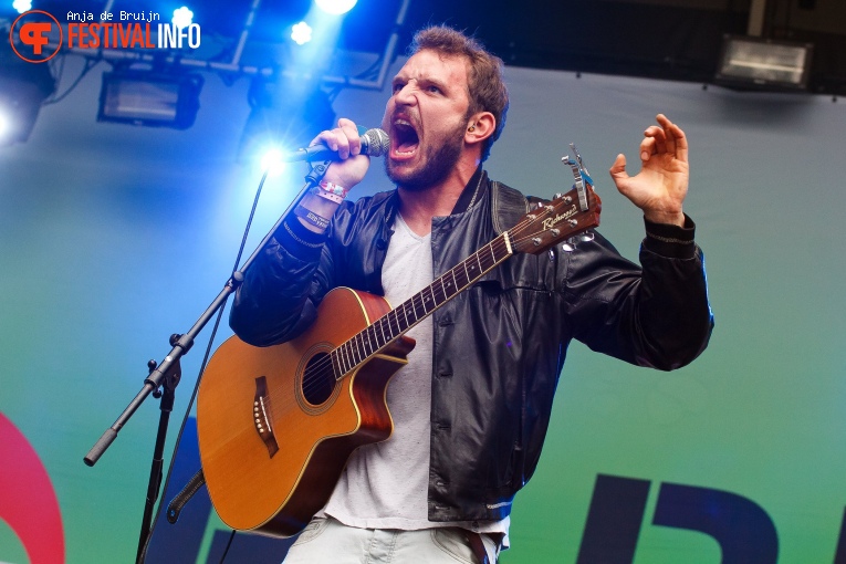 Friends of the Family op Parkpop 2017 foto