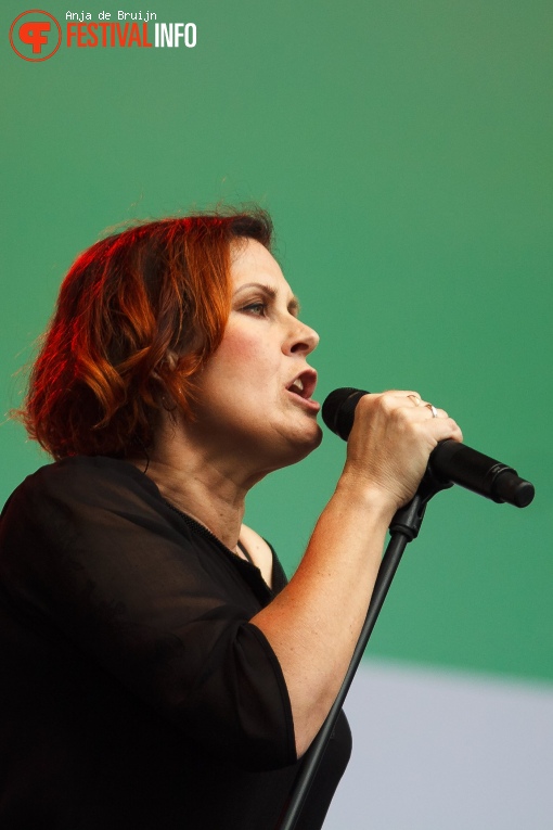 Alison Moyet op Parkpop 2017 foto