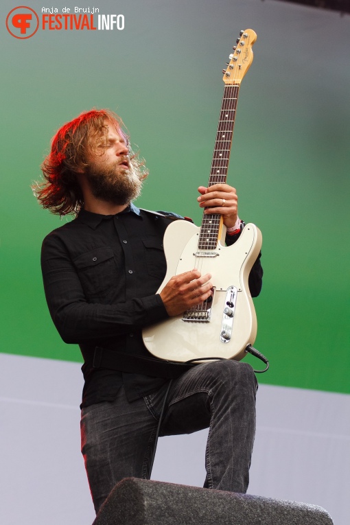 Dool op Parkpop 2017 foto