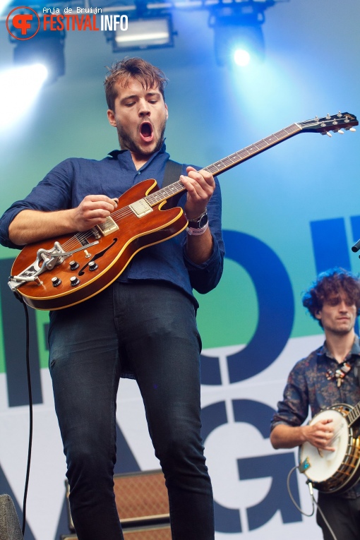 Friends of the Family op Parkpop 2017 foto