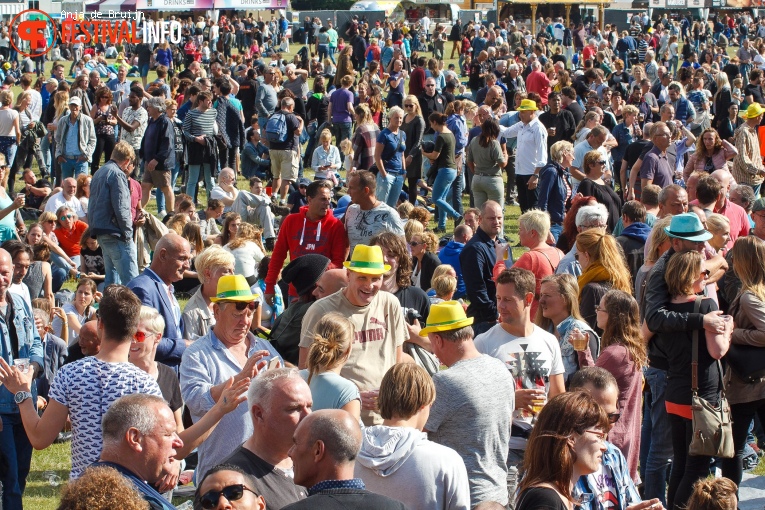 Parkpop 2017 foto