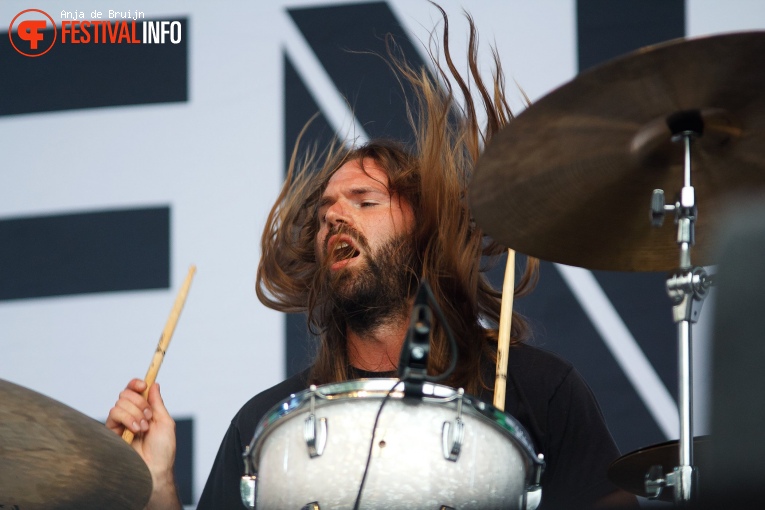 Dool op Parkpop 2017 foto