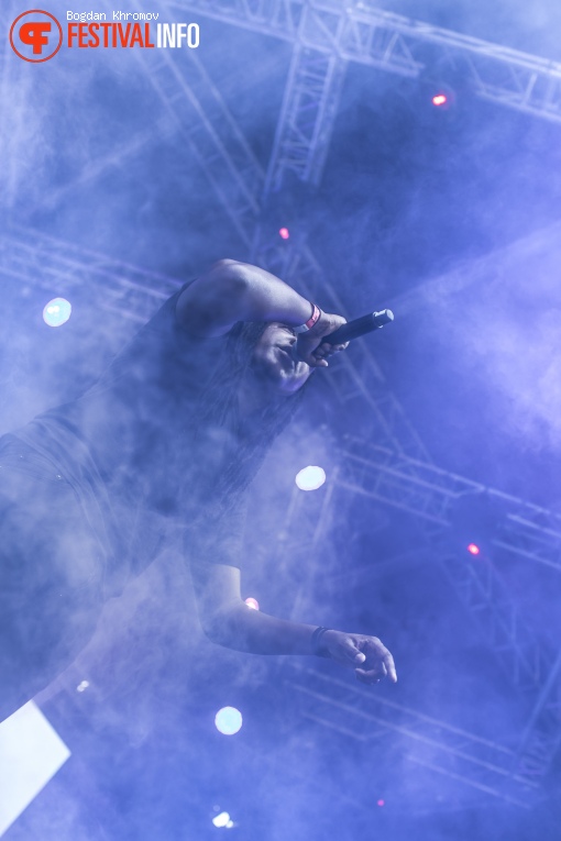WOO HAH! Festival 2017 foto