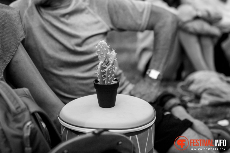 Cactusfestival 2017 - Vrijdag foto