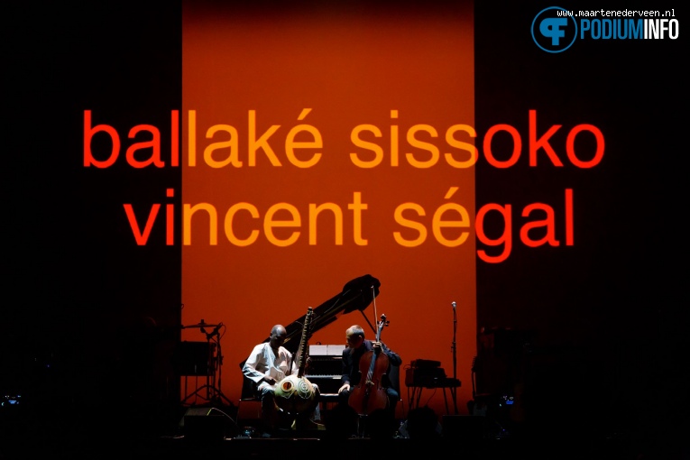 Vincent Segal op Ludovico Einaudi - 09/07 - AFAS Live foto