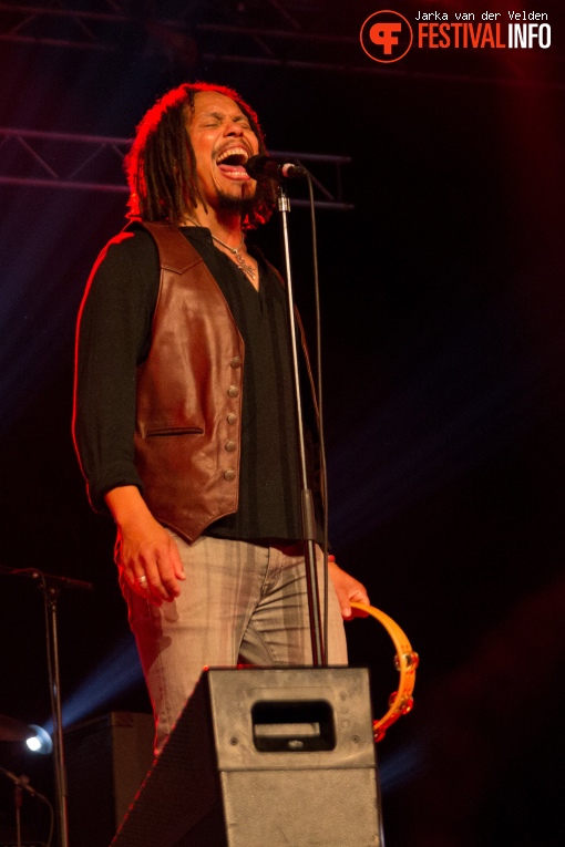 Foto The Magpie Salute op Bospop 2017 - Zaterdag
