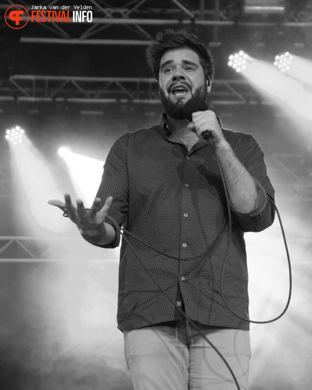 Delv!s op Bospop 2017 - Zaterdag foto