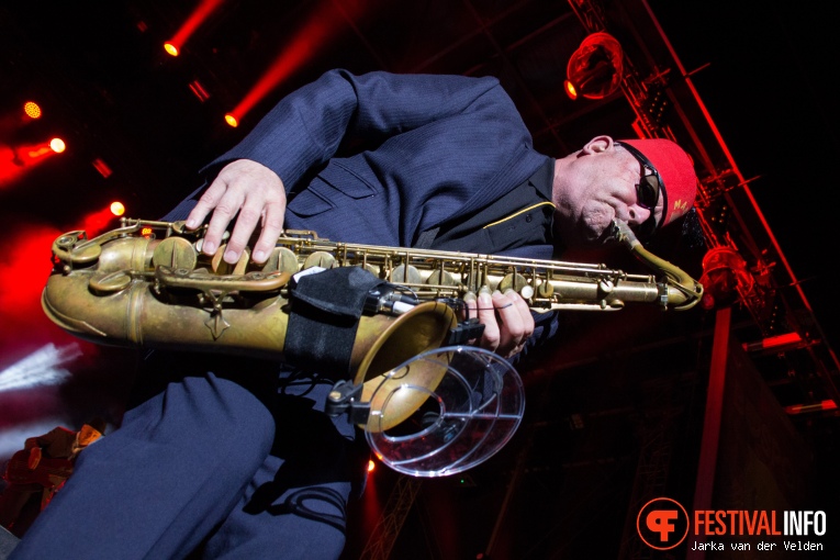 Madness op Bospop 2017 - Zondag foto