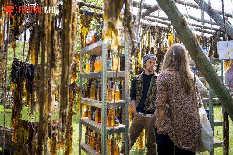 Træna festival 2017 foto