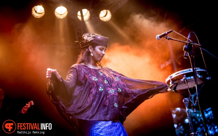 Kel Assouf op Valkhof Festival 2017 foto