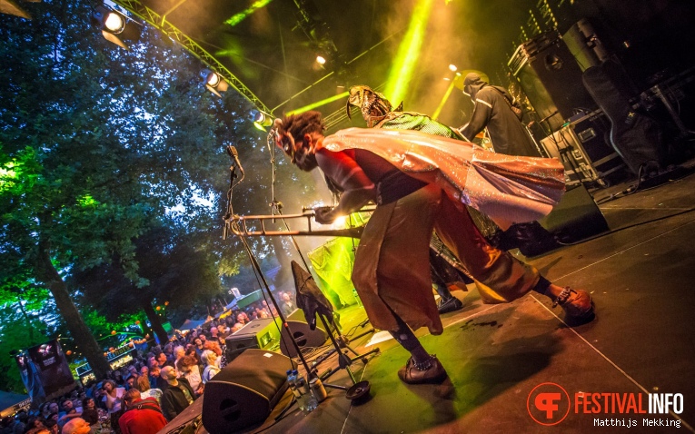 Golden Dawn Arkestra op Valkhof Festival 2017 foto