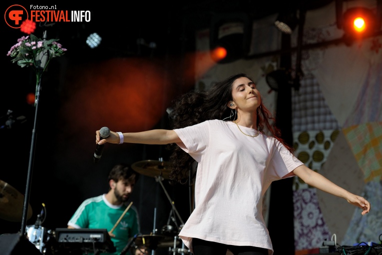 Naaz op Welcome To The Village 2017 - Vrijdag foto