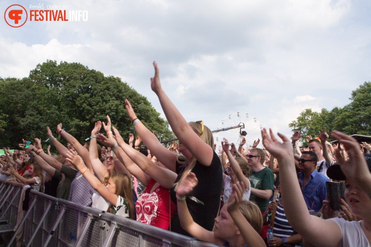 Fields of Joy 2017 foto