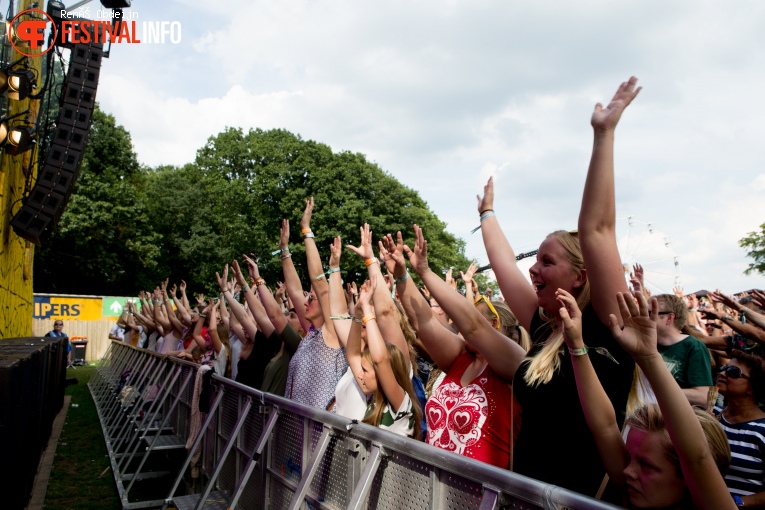 Fields of Joy 2017 foto