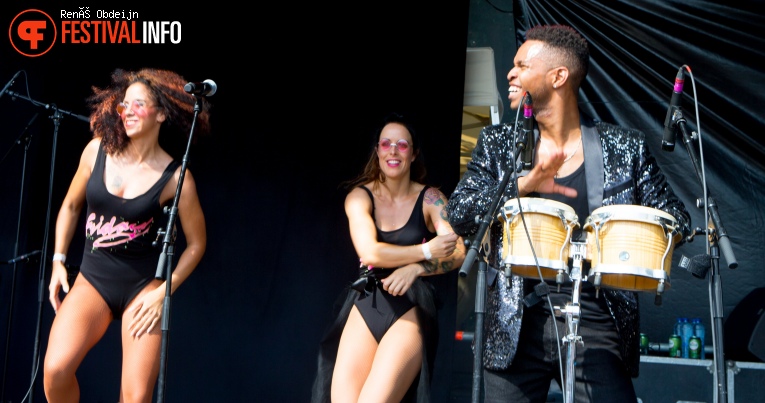 Fields of Joy 2017 foto