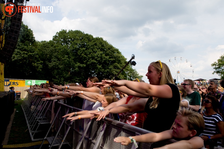 Fields of Joy 2017 foto