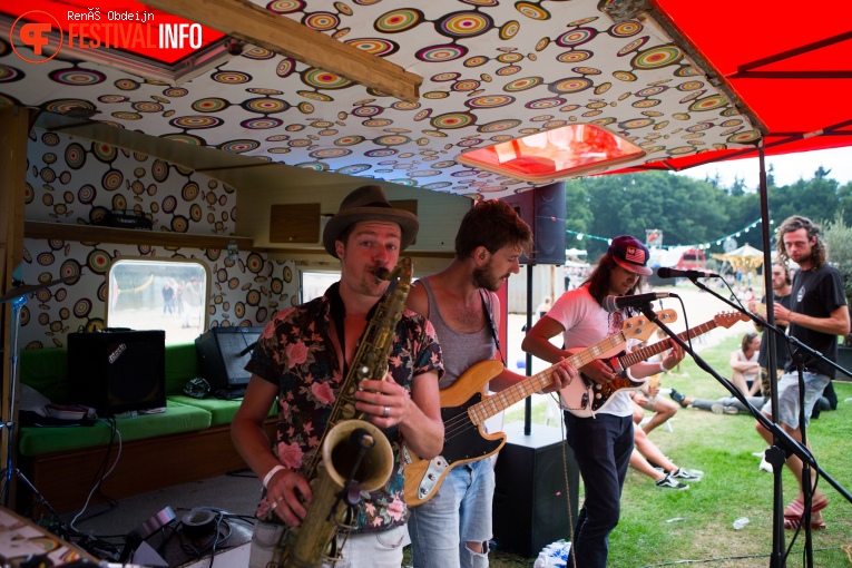 Fields of Joy 2017 foto