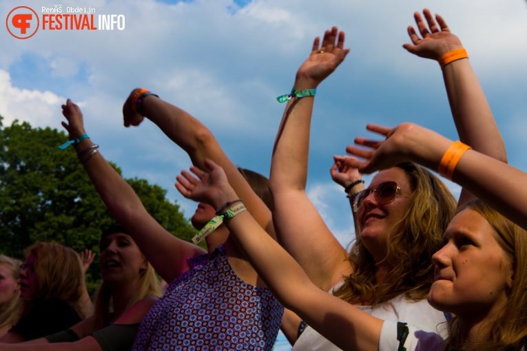Fields of Joy 2017 foto