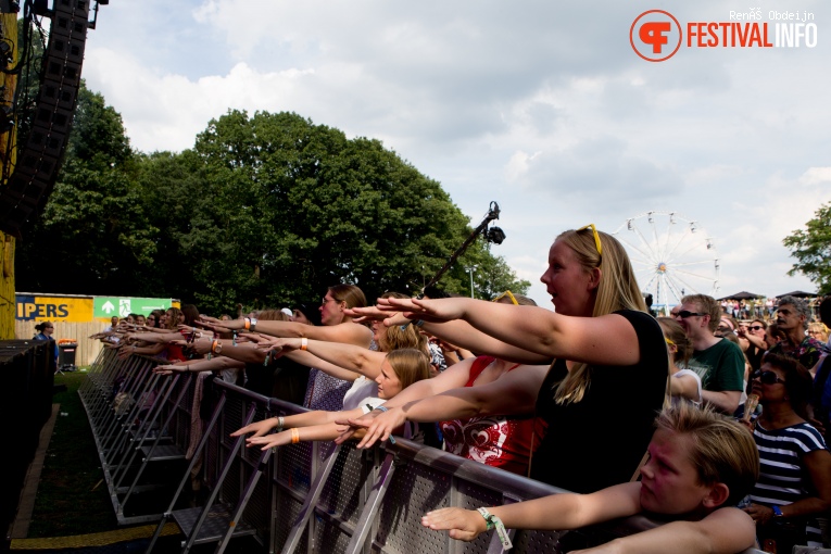 Fields of Joy 2017 foto