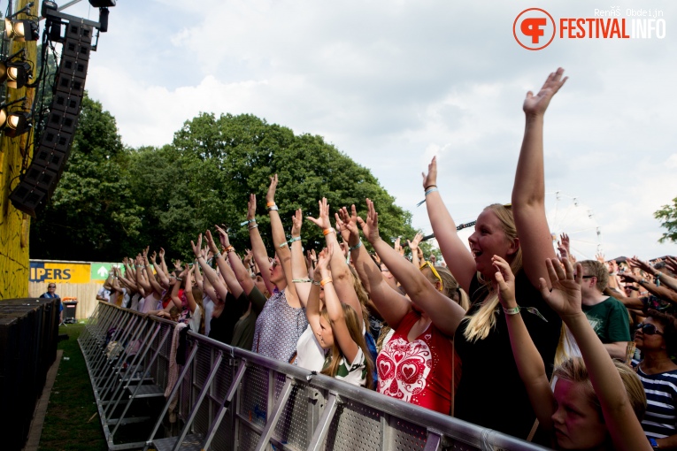 Fields of Joy 2017 foto