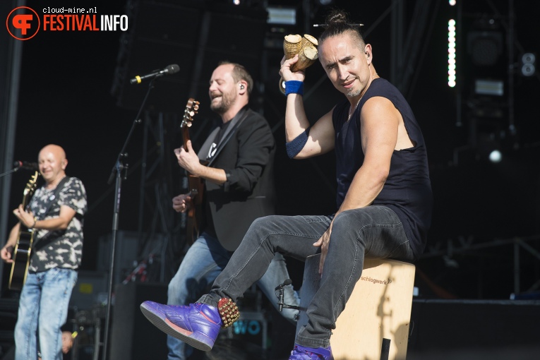 Tryo op Paléo Festival 2017 foto