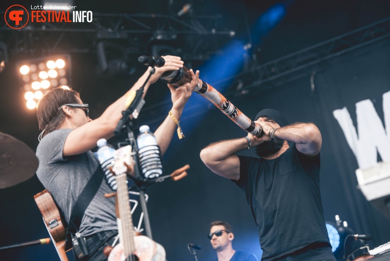 Walk off the Earth op Lollapalooza Paris 2017 foto