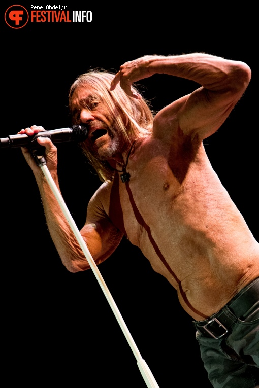 Iggy Pop op Suikerrock 2017 foto