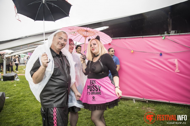 Milkshake 2017 foto