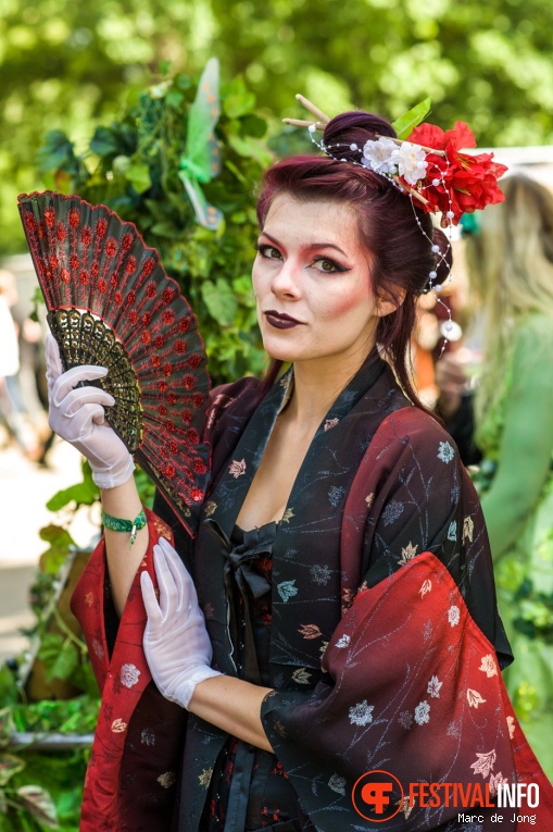 Castlefest 2017 foto