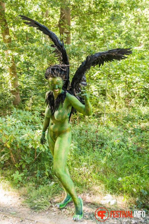 Castlefest 2017 foto