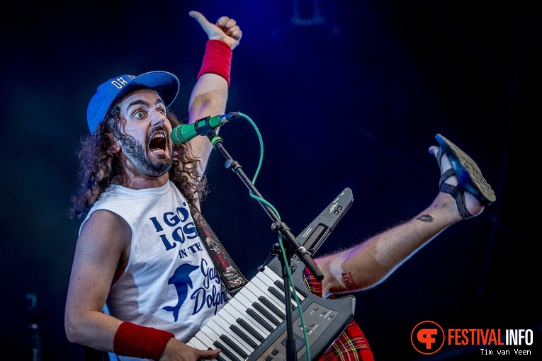 Alestorm op Into The Grave 2017 - Vrijdag foto