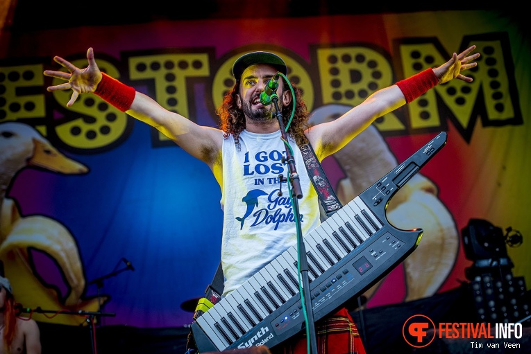 Alestorm op Into The Grave 2017 - Vrijdag foto