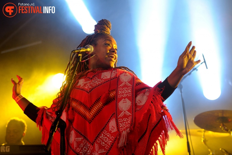 Tank and the Bangas op Lowlands 2017 - Zondag foto