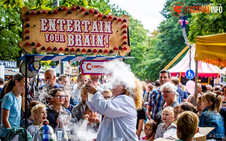 Zomerparkfeest 2017 - Zondag foto