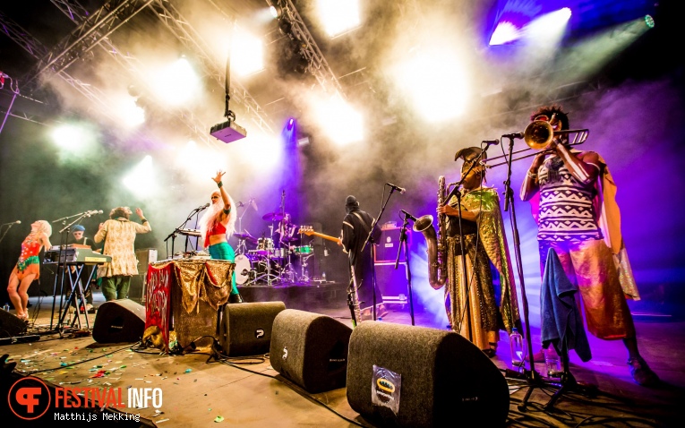 Golden Dawn Arkestra op Zomerparkfeest 2017 - Zondag foto