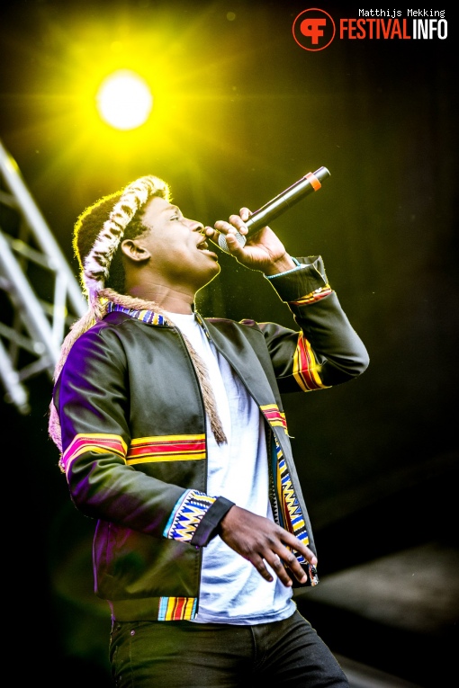 Soweto Soul op Zomerparkfeest 2017 - Zondag foto
