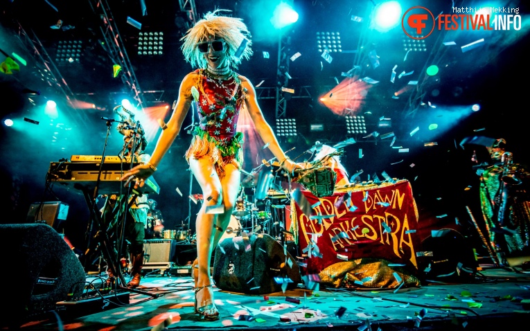 Foto Golden Dawn Arkestra op Zomerparkfeest 2017 - Zondag